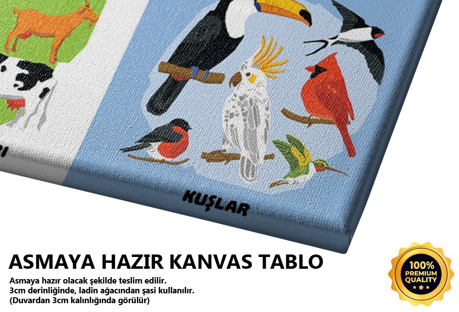 Hayvan Toplulukları Tablo
