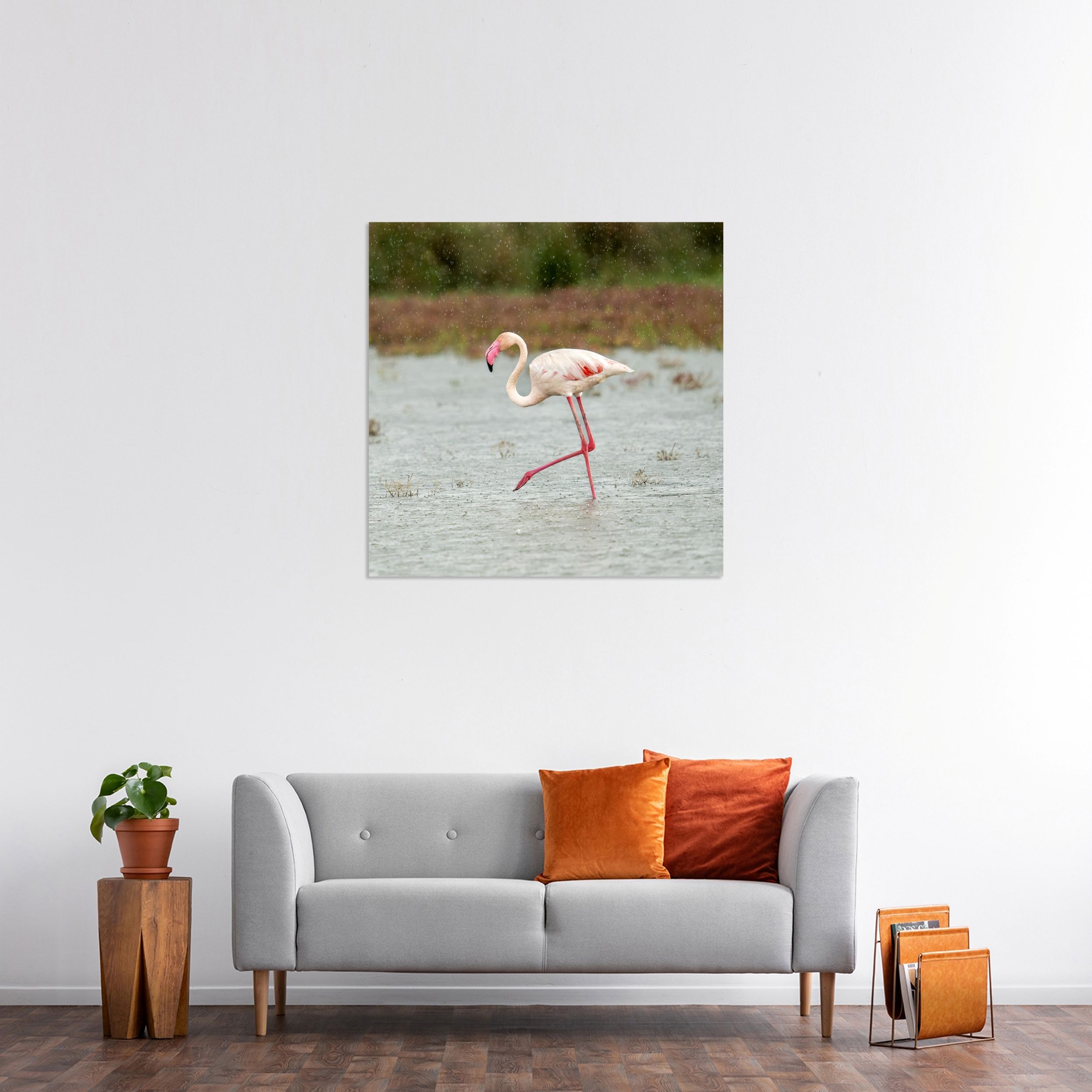 Yağmurda Flamingo