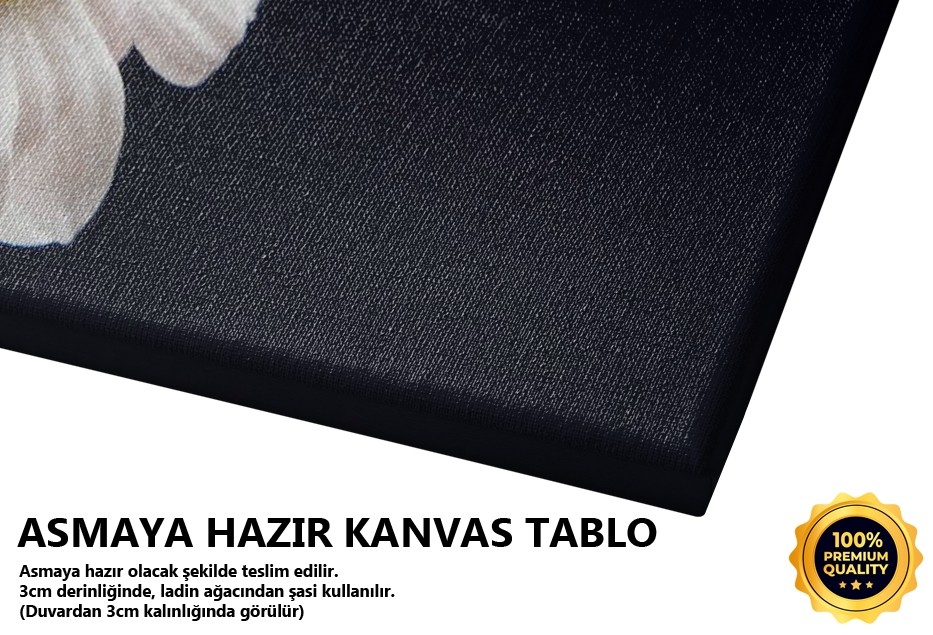 Fallara Ram Olmak -2008 Tablo