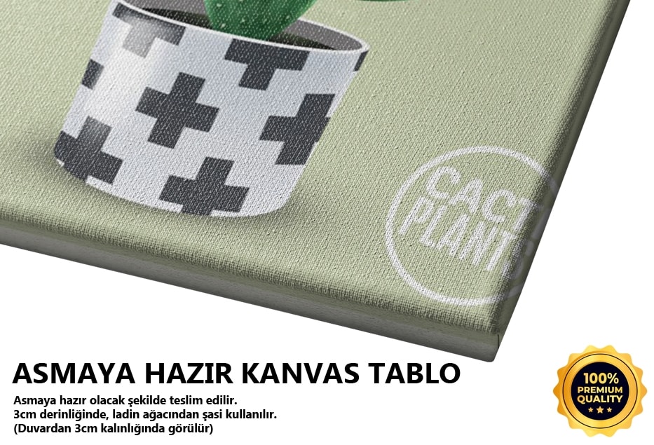 Kaktüs Yeşil Tablo
