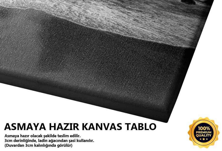 Şile Tablo