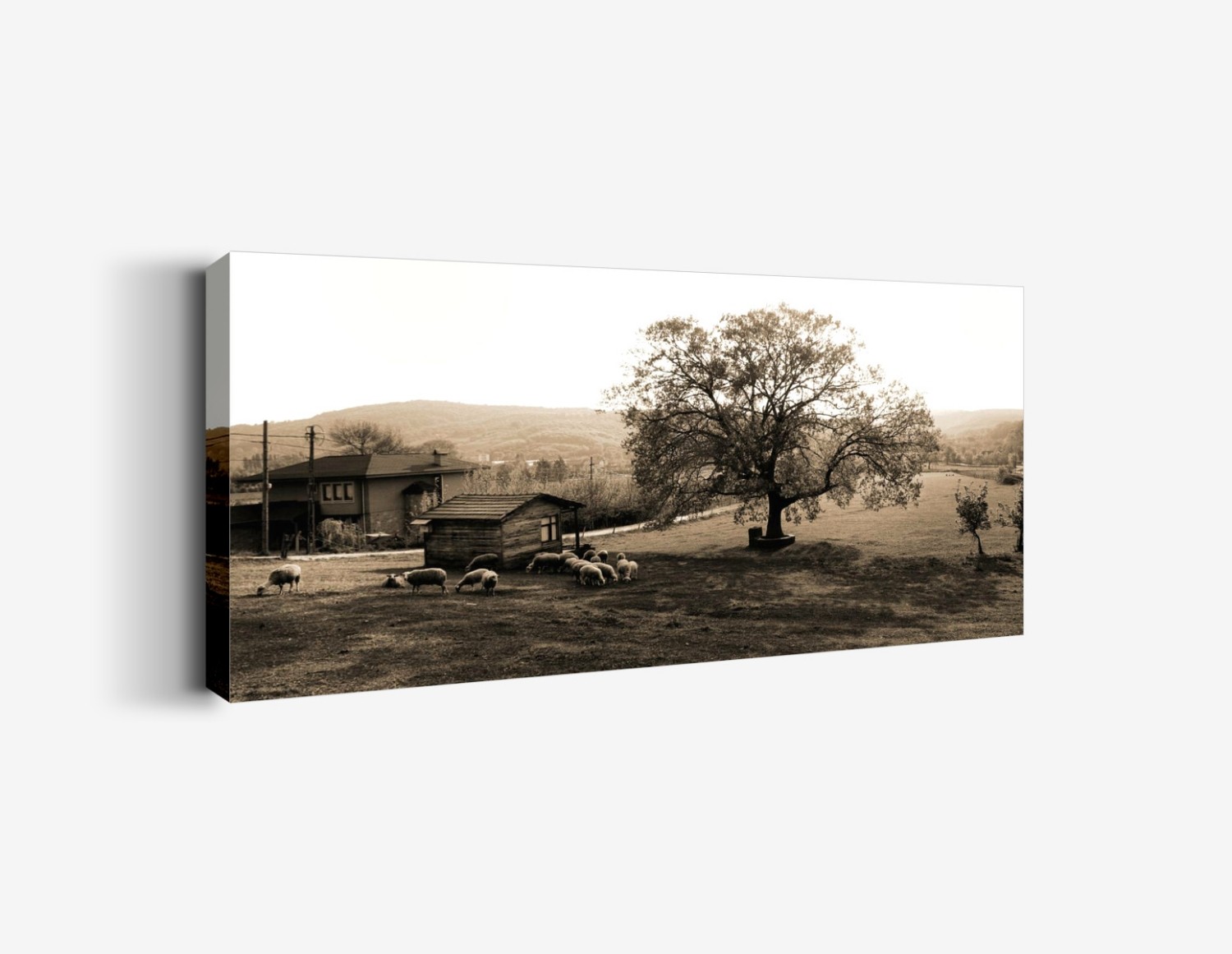 Kır Tablo