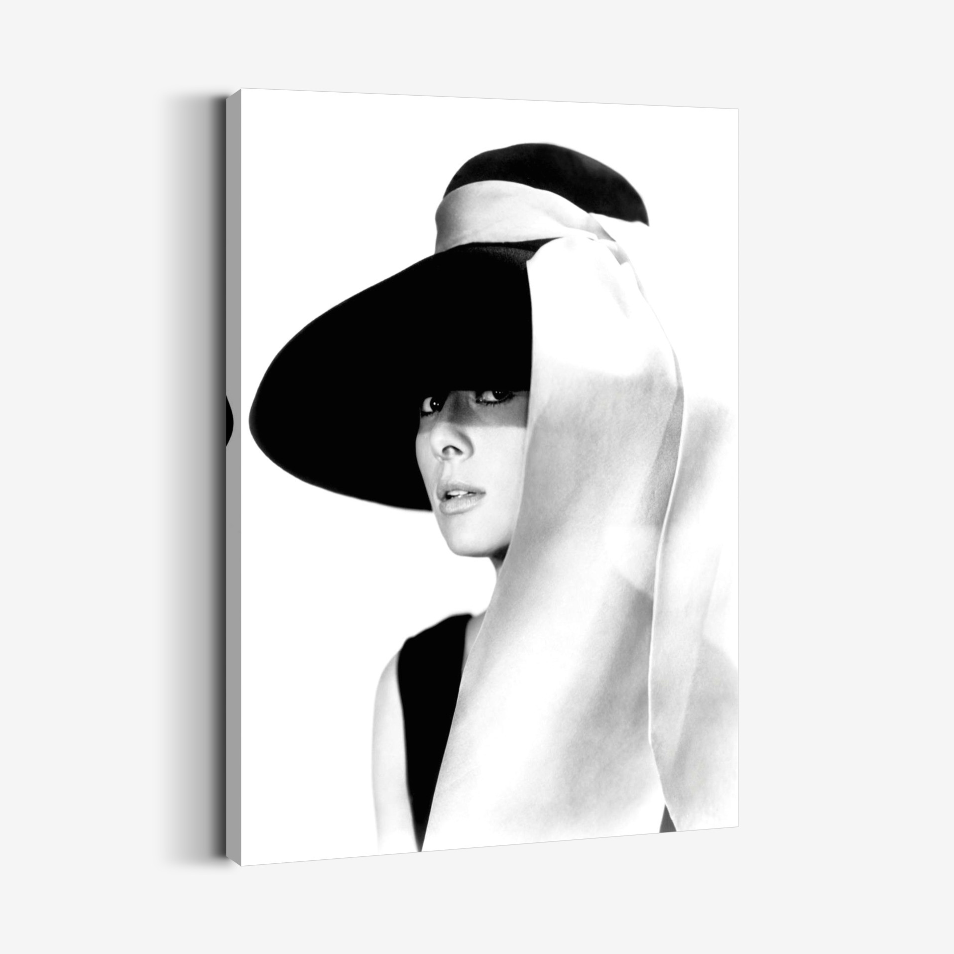 Audrey Hepburn Tablo