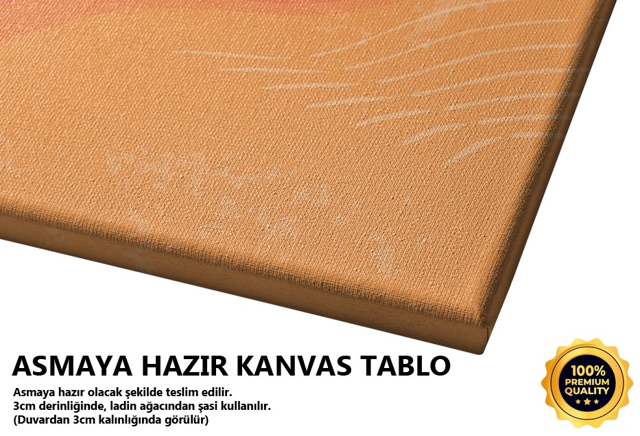 Güneş Ve Dalgalar 1 Tablo
