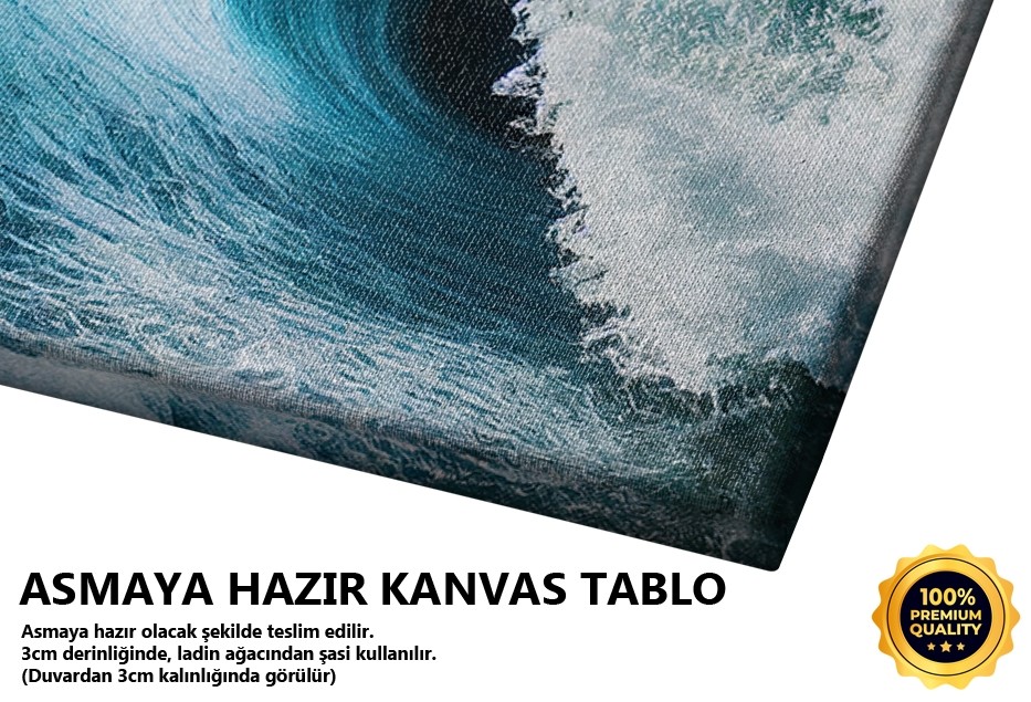 Dev Dalga Okyanus Manzarası