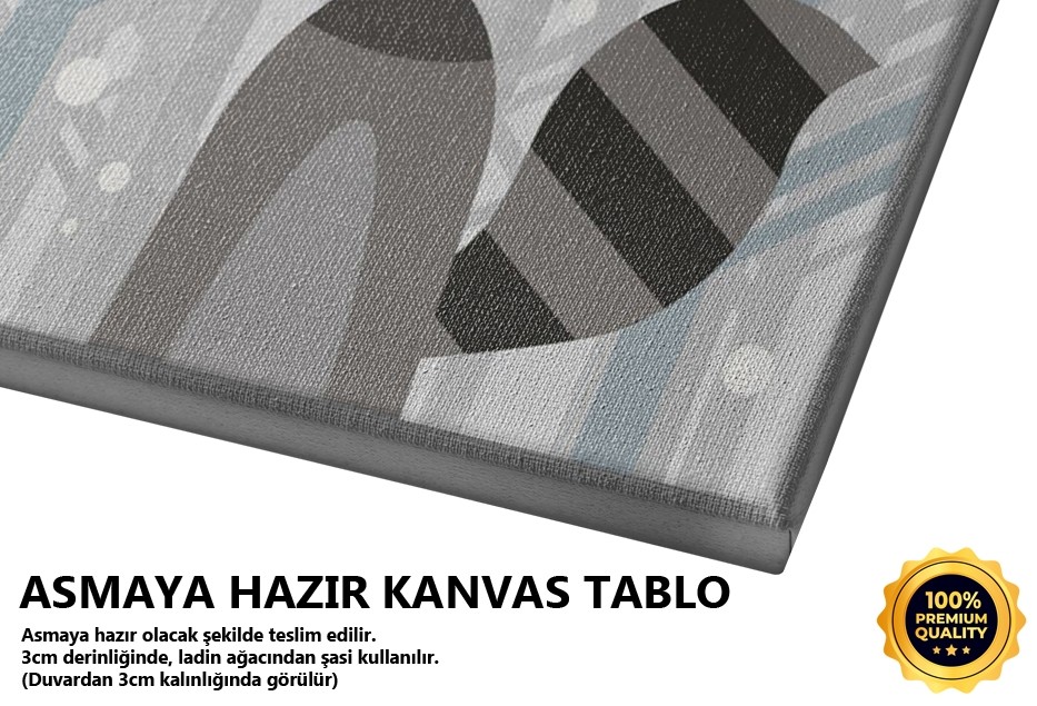 Rakun Portre Tablo