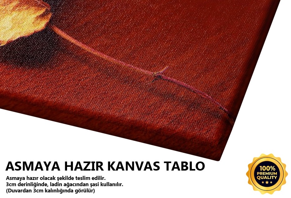 Alev Taneleri -2006 Tablo