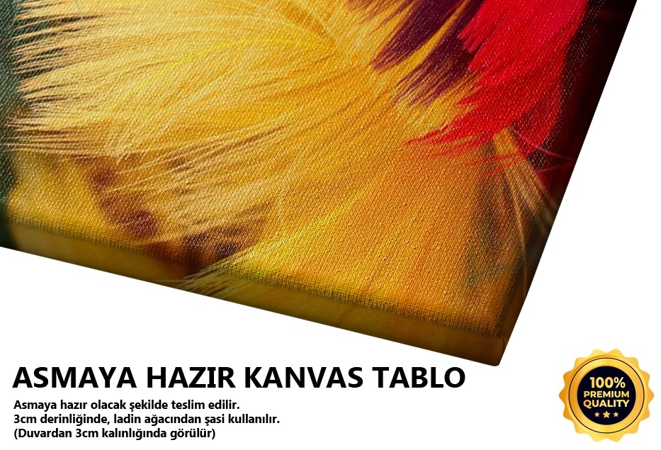 Renkli Tüyler Tablo