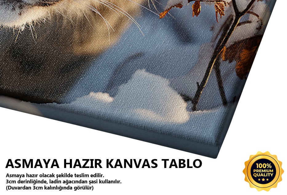 Karlar İçinde Kaplan