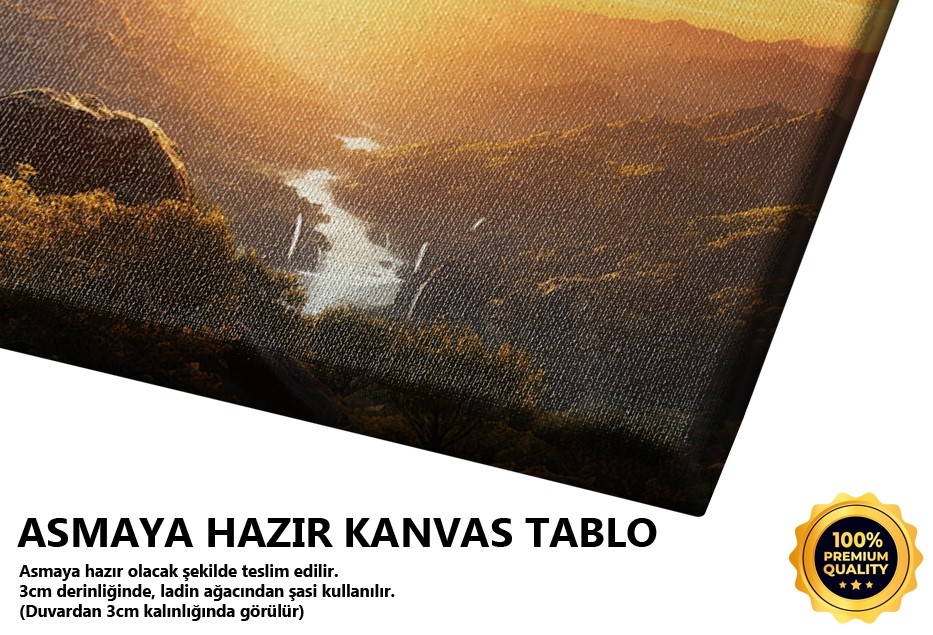 Kozmik Ağaç ve Işık