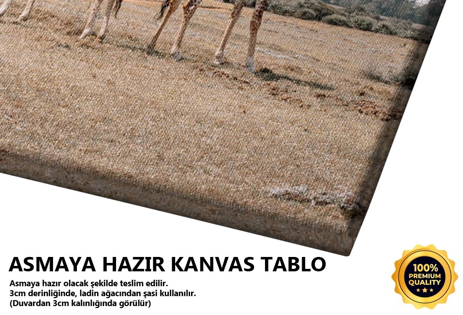 İki Zürefa Tablo