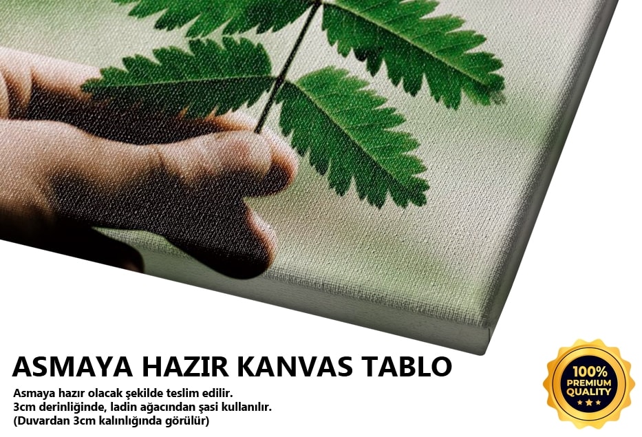Eldeki Yaprak Tablo