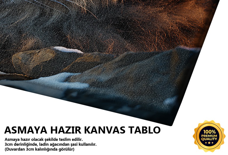 Karlar İçinde Yırtıcı Güzellik