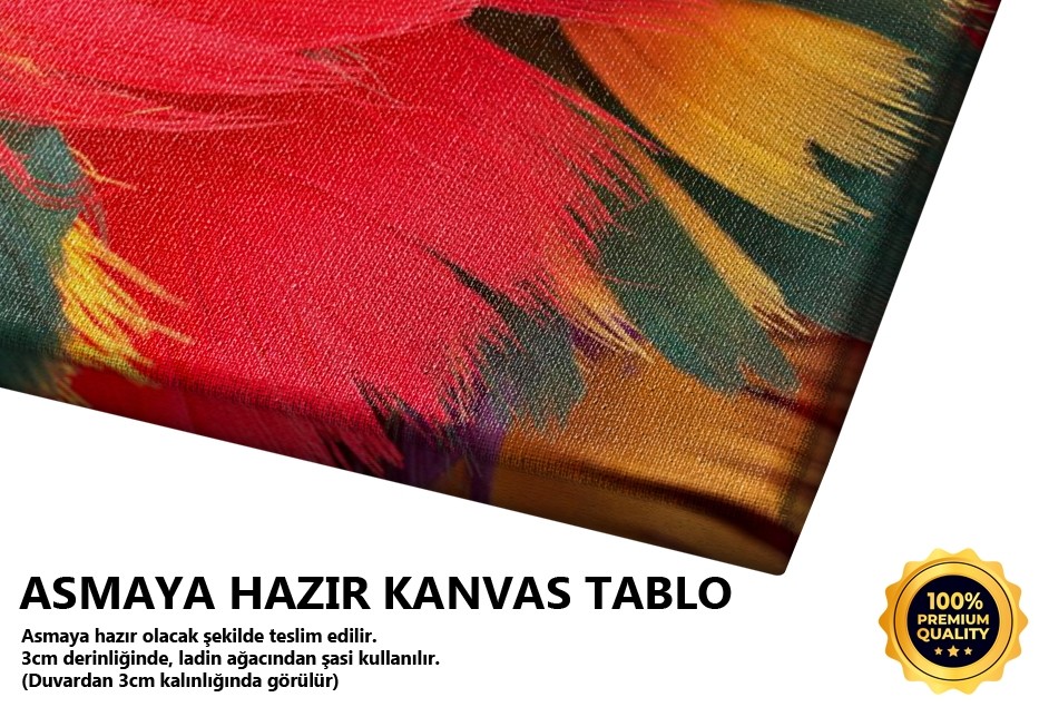 Renkli Tüyler Tablo