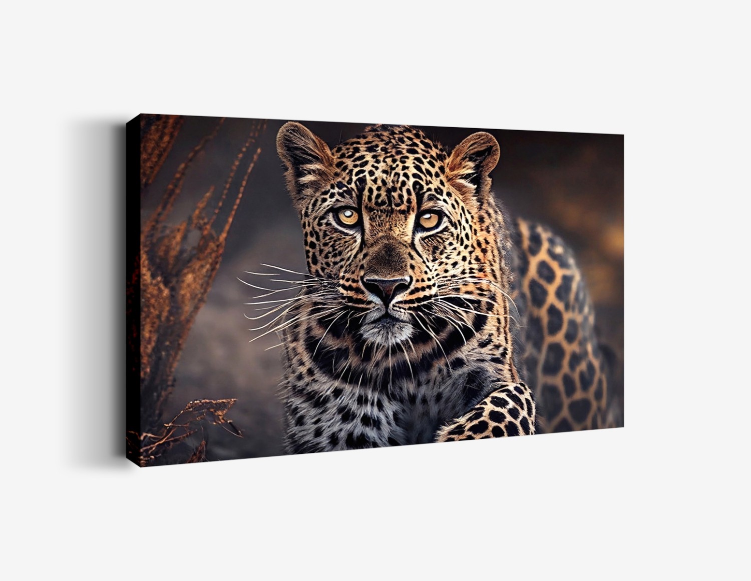 Ormanda Poz Veren Leopar