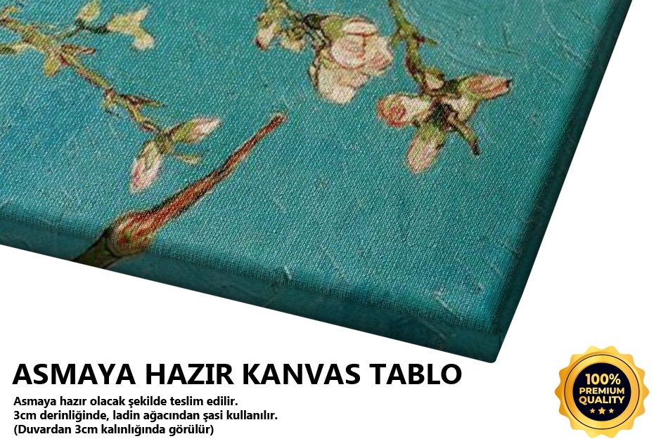 Çiçek Açmış Ağaç, Badem Çiçekleri Tablo