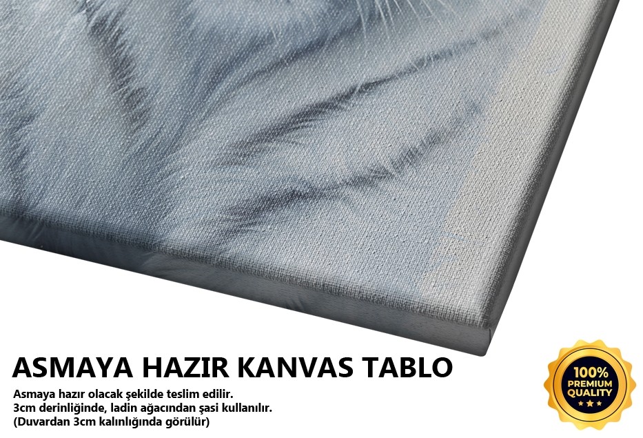 Beyaz Kaplan Portresi