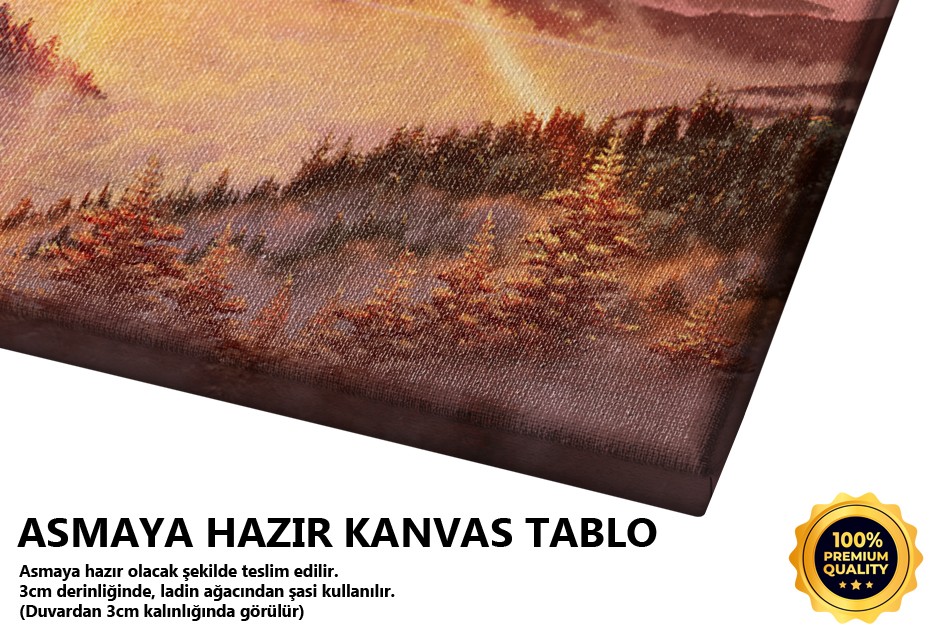 Ormanda Dağ Manzarası