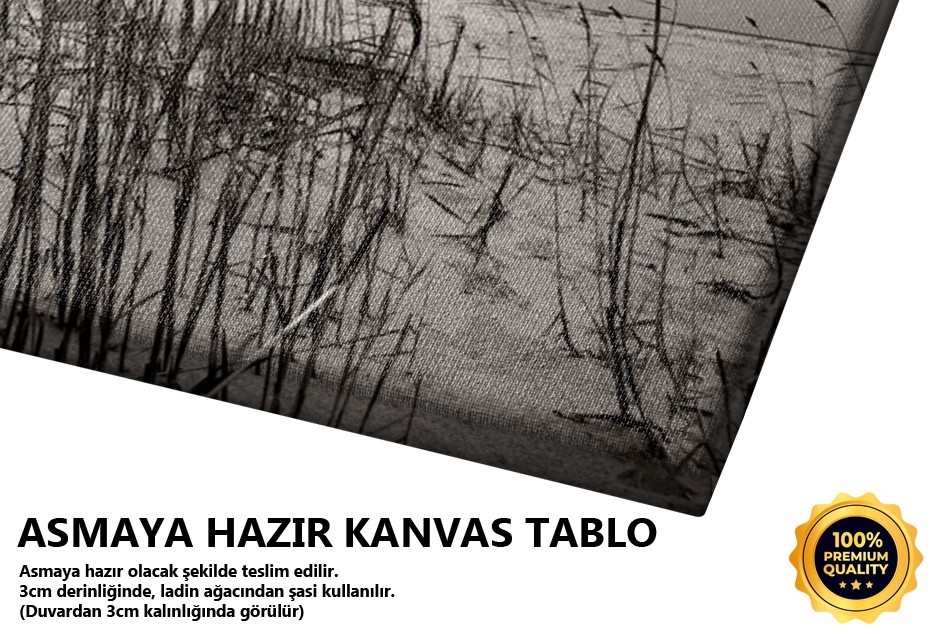 Ayaz (Ağva-istanbul) Tablo