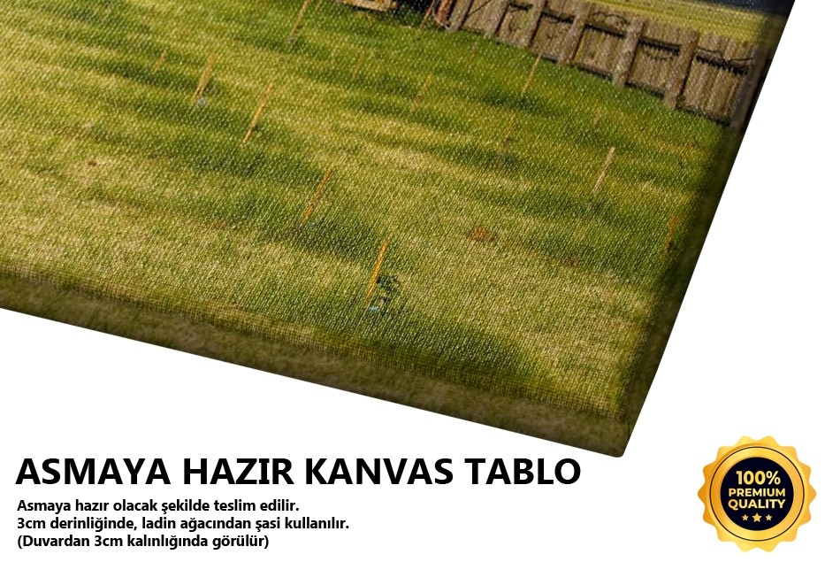 Kırmızı Çatılı Kulübe Tablo