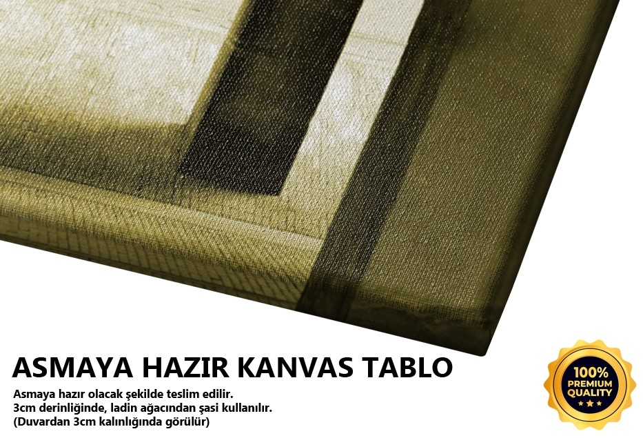 Yürüyen Kadın Tablo