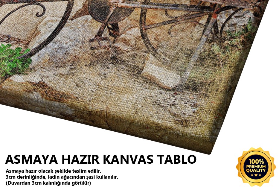Eski Bisiklet Tablo