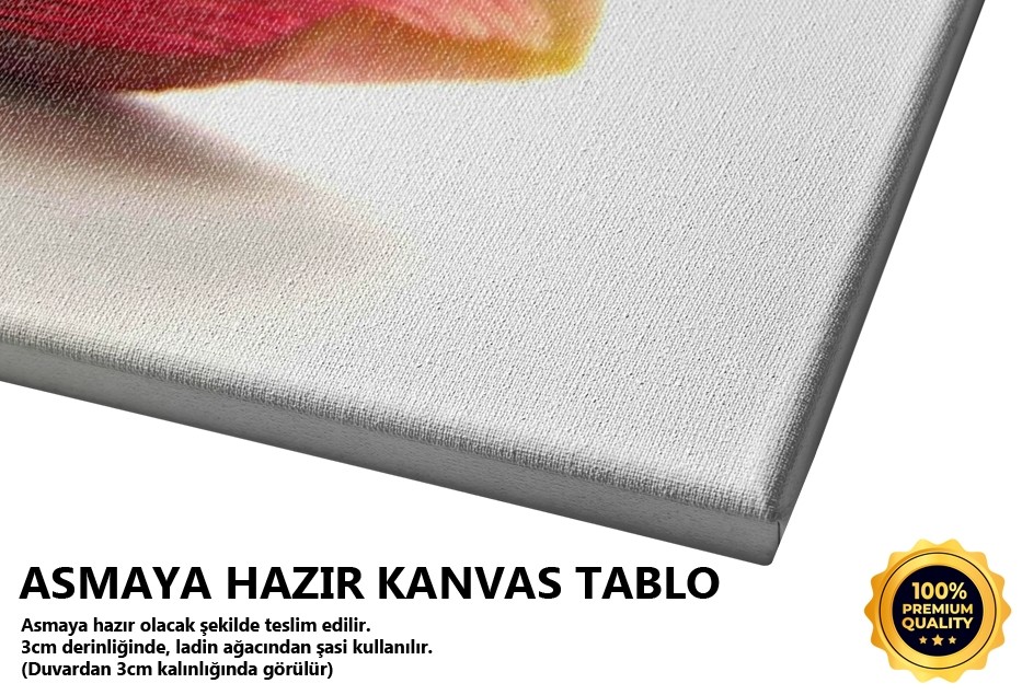 Naif -2006 Tablo