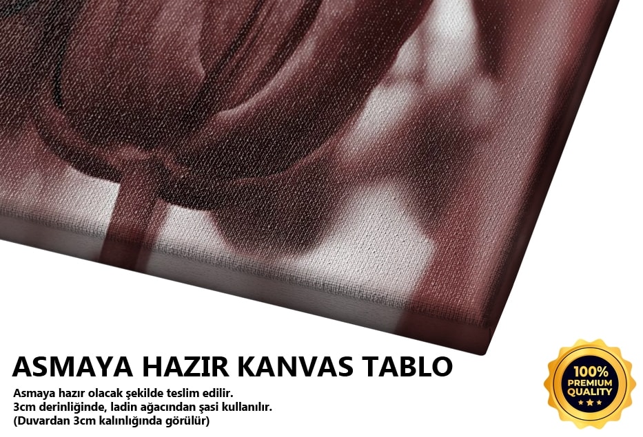 Laleler Tablo