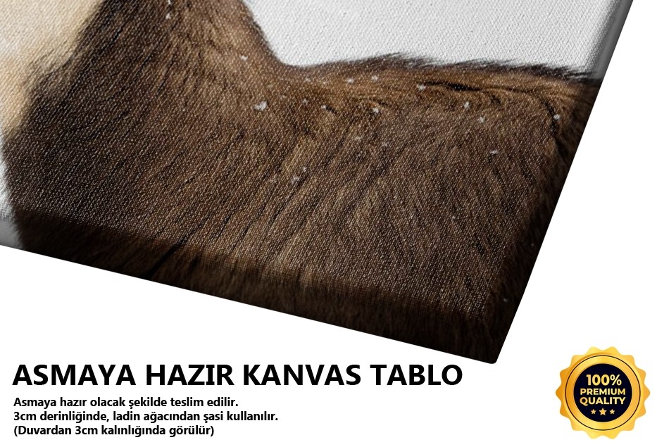 Yaban Keçisi Tablo