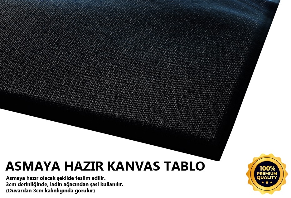 Tek Ağaç ve Ay Manzarası