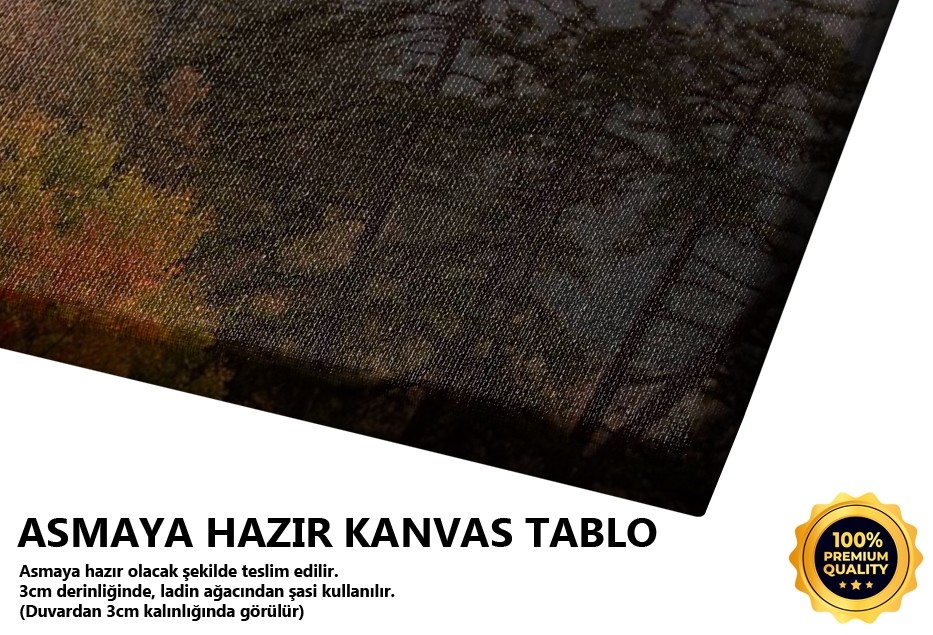 Kırmızıya Çalar (Sinop) Tablo