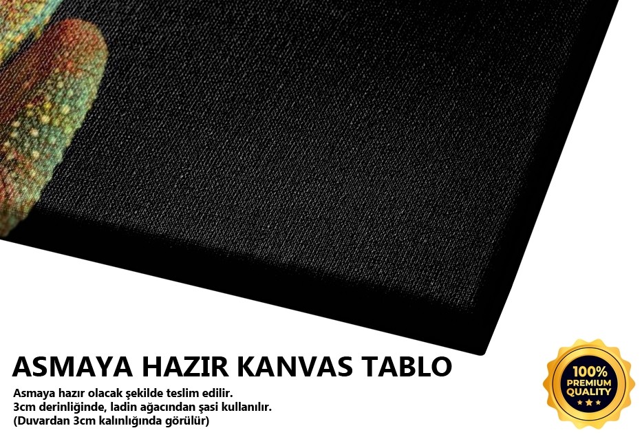 İguana Tablo