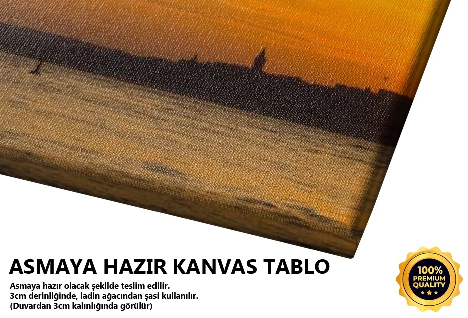 Kız Kulesi Tablo