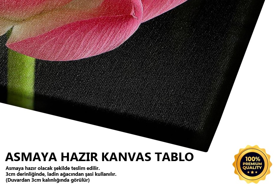 Lotus Çiçeği Tablo