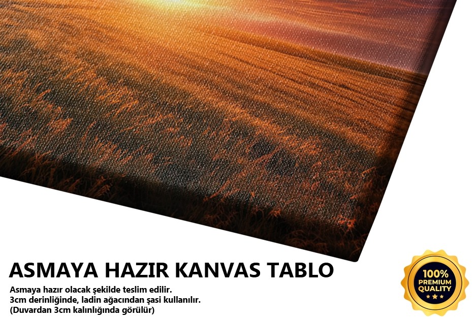 Yalnız Ağaç ve Gün Batımı