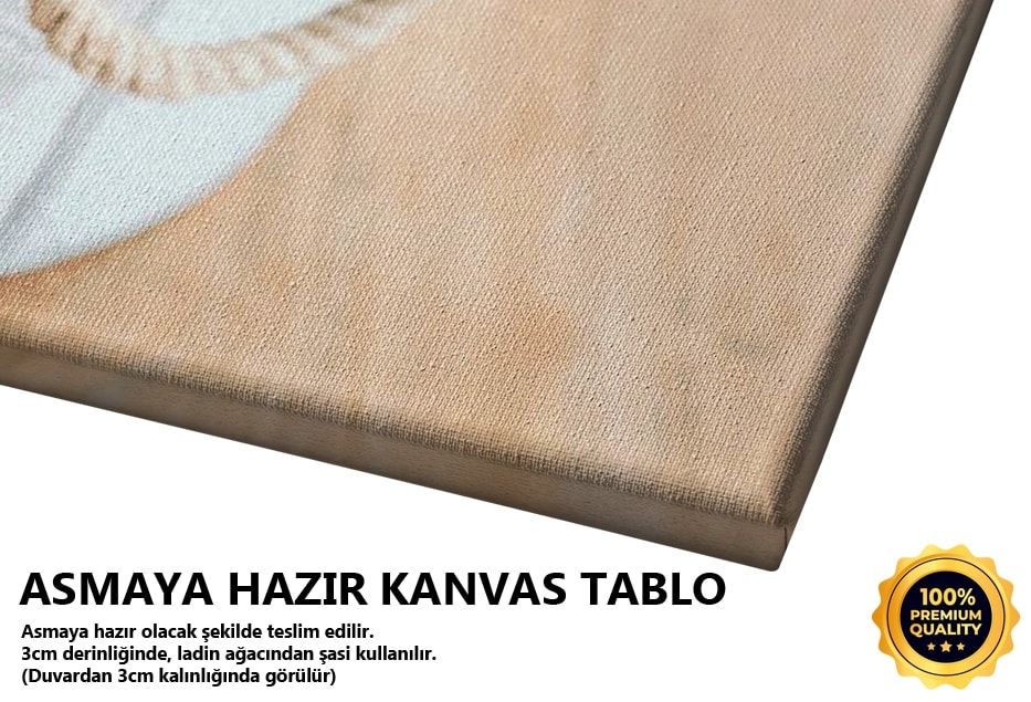 Pembe Gül Tablo
