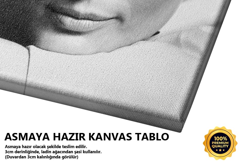 Audrey Hepburn Tablo