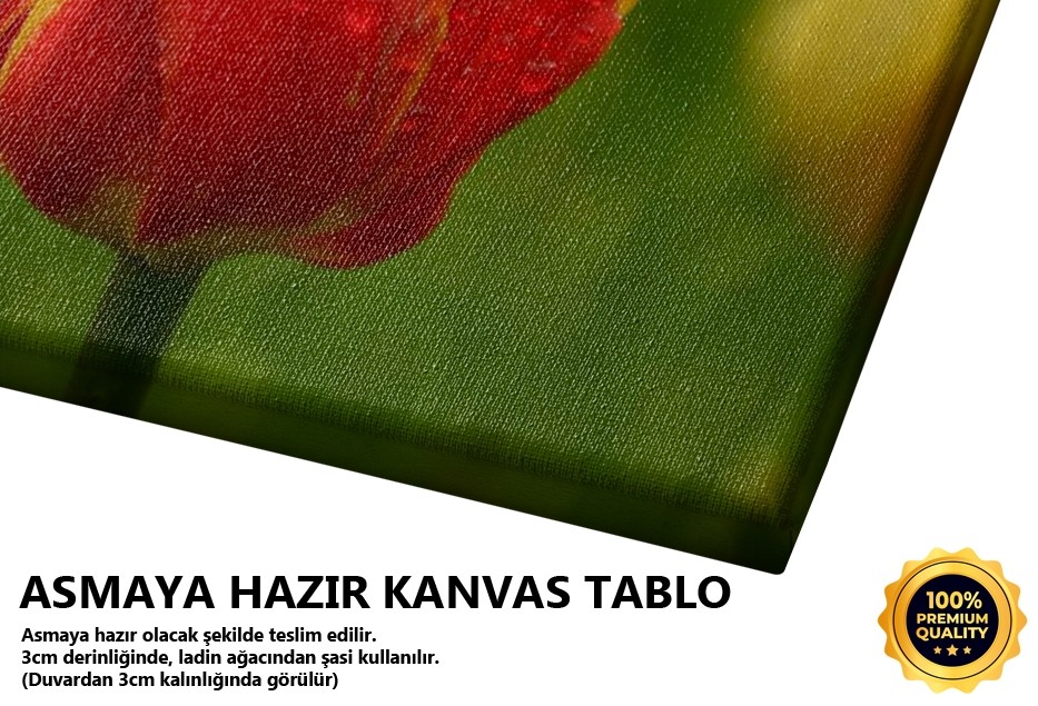 Tamamlıyoruz Birbirimizi Tablo
