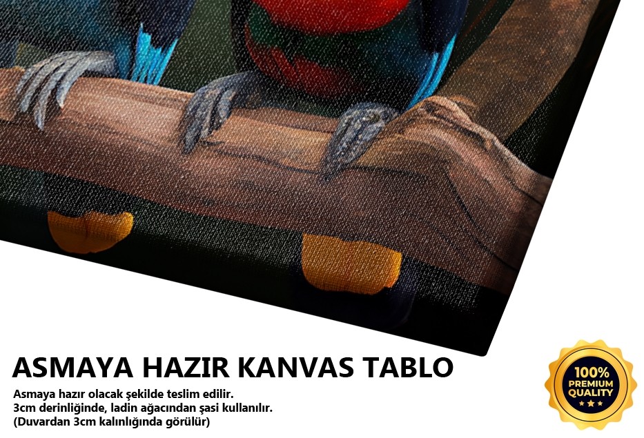 Tukan Kuşları