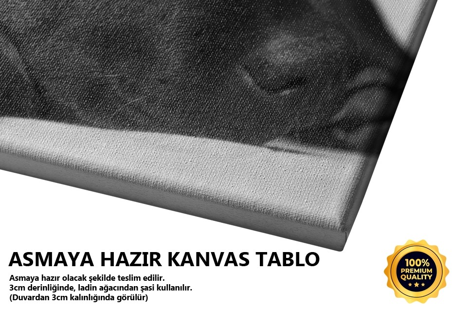 Labrador Tablo