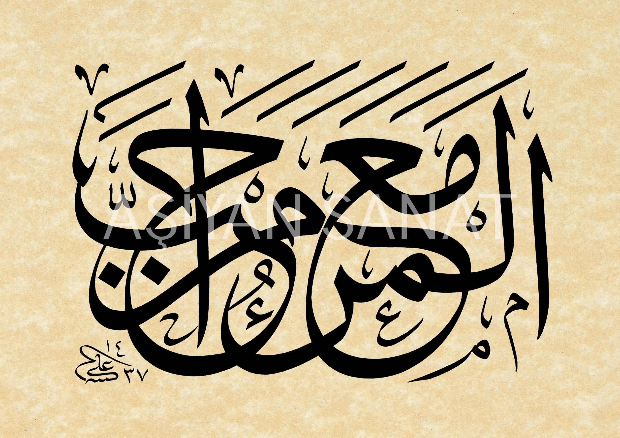 Hadis-i Şerif (Baskı)