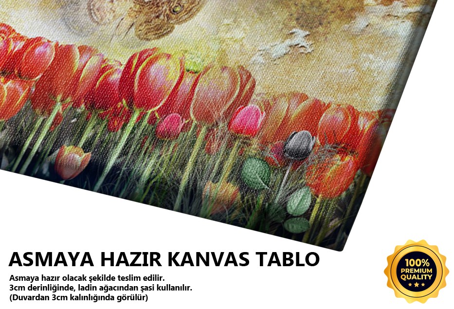 Gizli Krallık Tablo