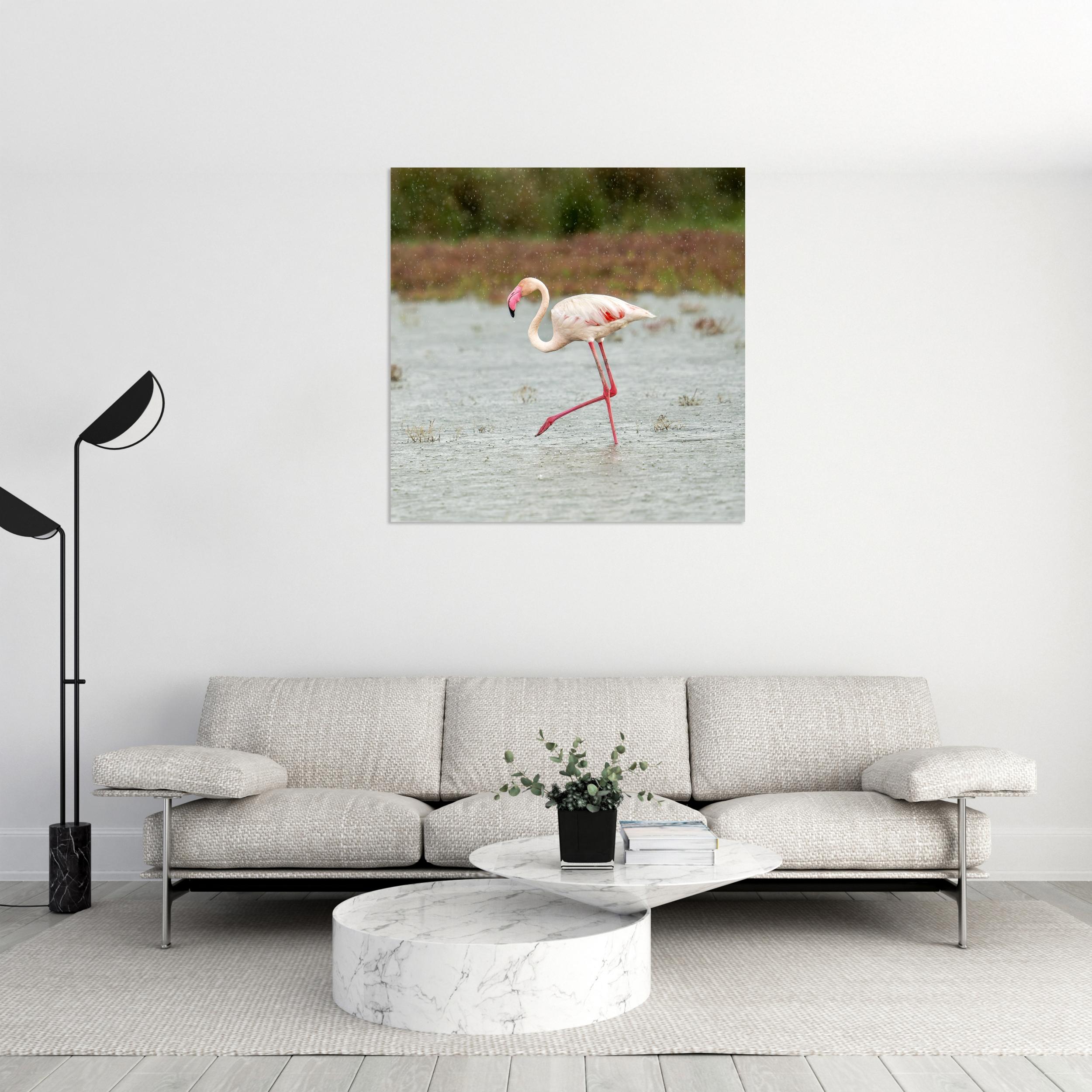 Yağmurda Flamingo