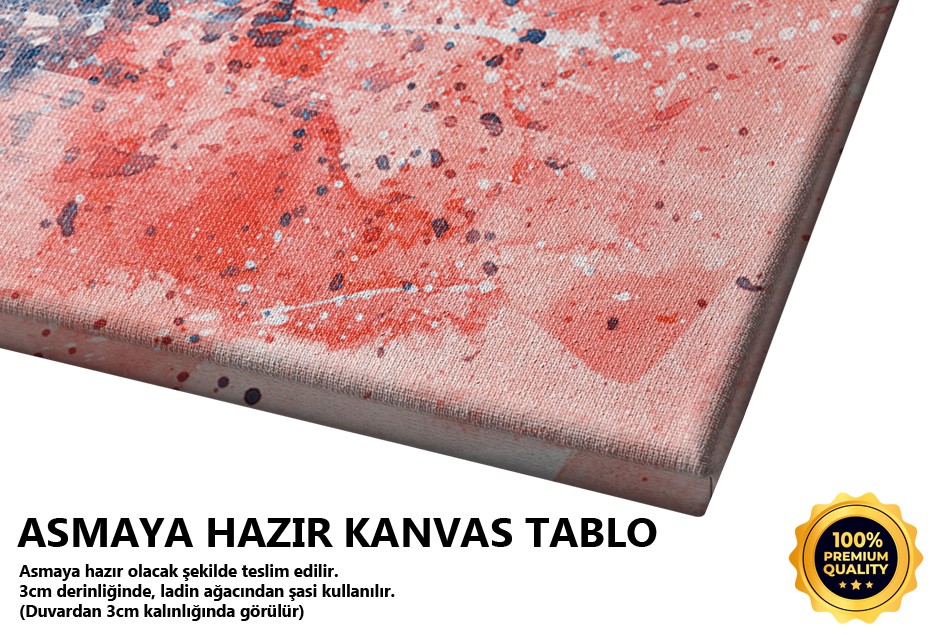 Kırmızı Çatılı Mavi Şehir