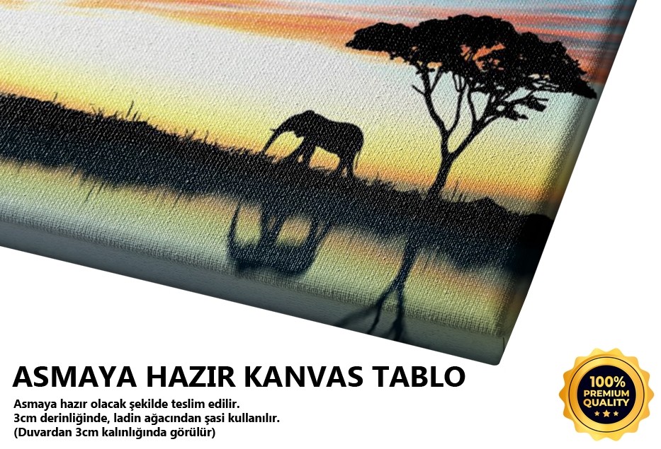 Safari Tablo