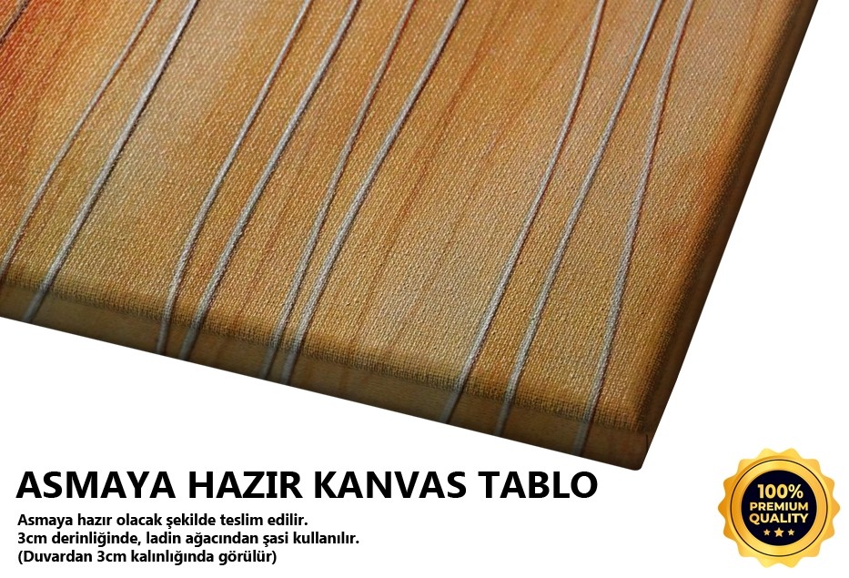 Çicekler Tablo