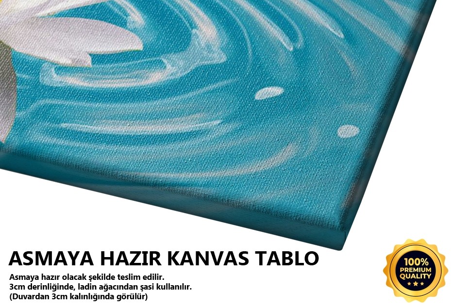Nilüferler Tablo