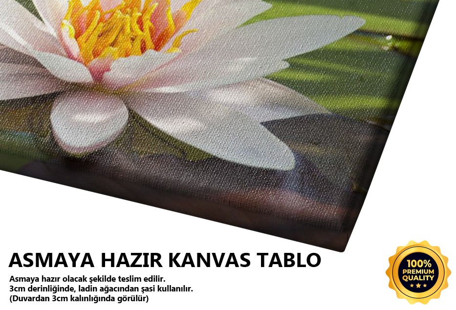 Nilüfer Tablo