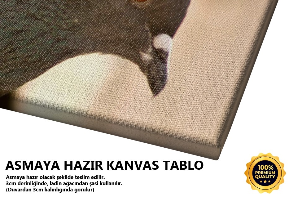 Çift Tablo