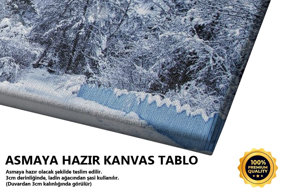 Kar Ve Mavi Ev Tablo